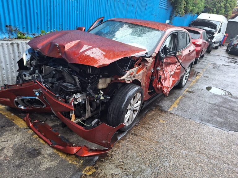 BMW X2 X-DRIVE 2.0 DIESEL AUTOMATIC